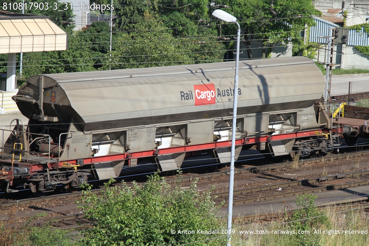 810817903-3_31_Tadnpss.JPG